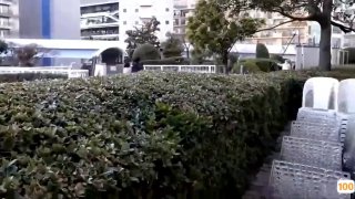 亚洲AV.国产全站仪在线a 日本一区二区在线看_国产在线精品观看一区欧美国产精品不卡在线观看_国产亚洲一区二区手机在线观看
